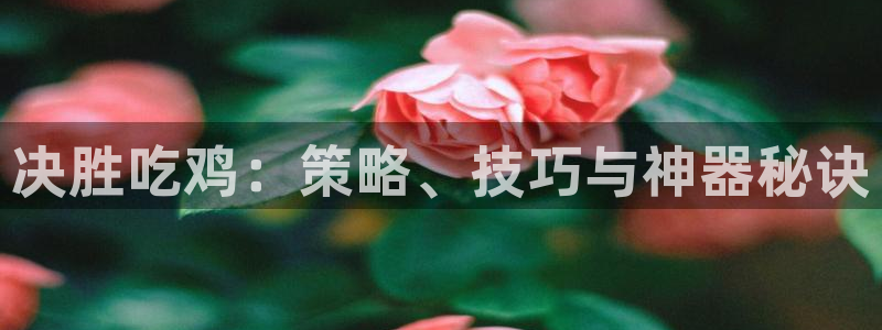 沐鸣娱乐2登录平台官网入口