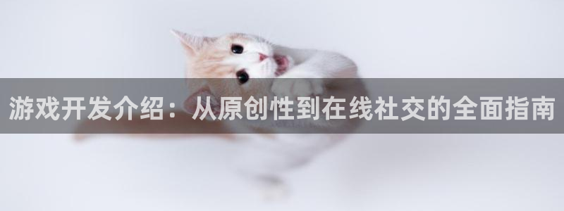 沐鸣娱乐2：游戏开发介绍：从原创性到在线社交的全面指南