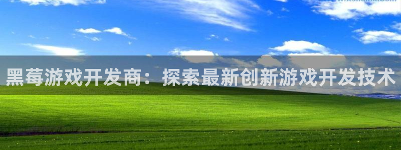 沐鸣娱乐2下载：黑莓游戏开发商：探索最新创新游戏开发技术