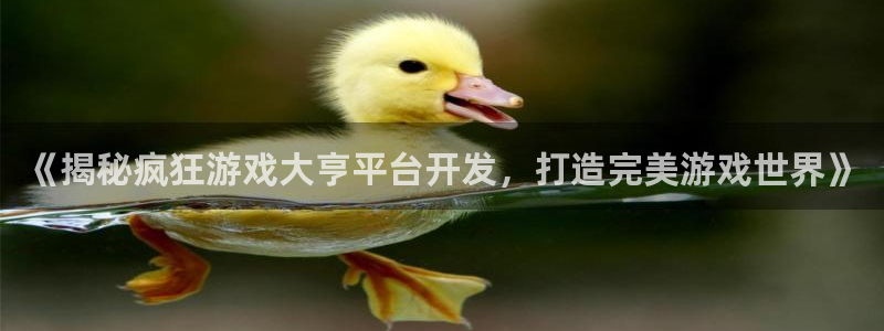 沐鸣2登录官方登录网站：《揭秘疯狂游戏大亨平台开发，打造完美游戏世界》