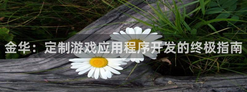沐鸣娱乐2官方：金华：定制游戏应用程序开发的终极指南