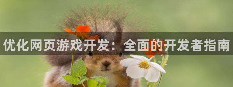 沐鸣2挂机注册：优化网页游戏开发：全面的开发者指南