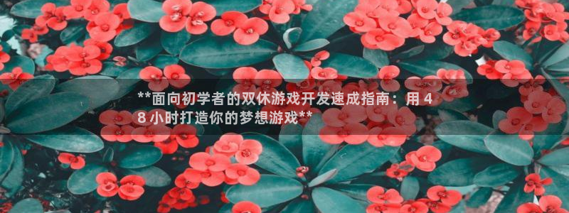 沐鸣2官方登录：**面向初学者的双休游戏开发速成指南：用 4
8 小时打造你的梦想游戏**