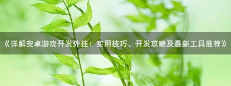 沐鸣娱乐2登录平台是什么：《详解安卓游戏开发外挂：实用技巧、开发攻略及最新工具推荐》