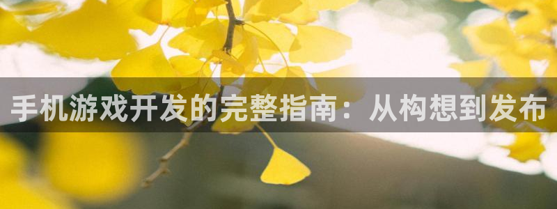 沐鸣2首页登录：手机游戏开发的完整指南：从构想到发布