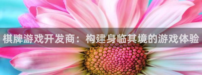 沐鸣2平台登录线路：棋牌游戏开发商：构建身临其境的游戏体验